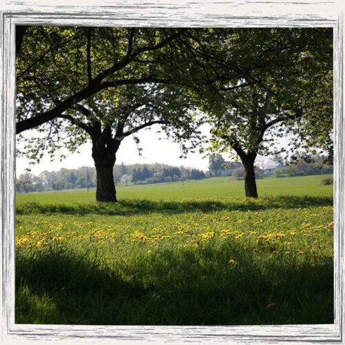 Kaulehof in der Sächsischen Schweiz